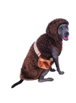 Déguisement Chewbacca Pour Chien