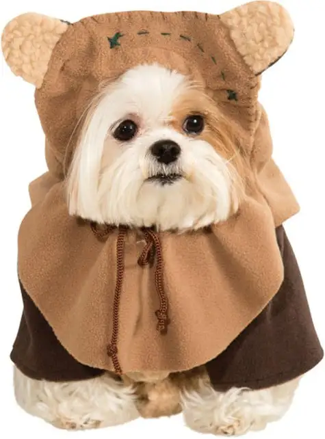 Déguisement De Ewok Pour Chien
