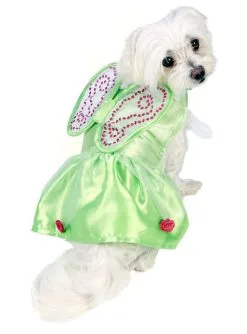 Déguisement La Fée Clochette Pour Chien