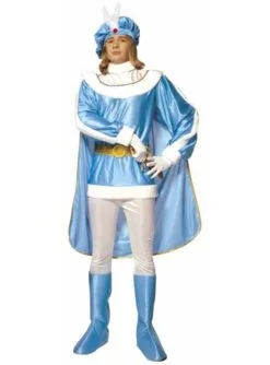 Déguisement Prince Charmant Homme