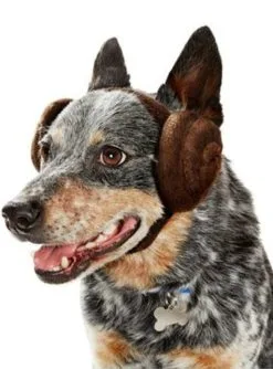 Oreilles Princesse Leia Star Wars Chien